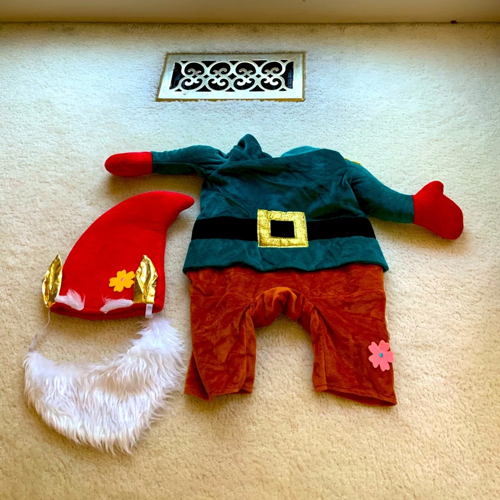 ADORABLE CHRISTMAS ELF DOG HALLOWEEN COSTUME OUTFIT WITH CAP AND BEARD - Picture 1 of 16